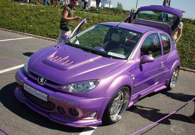 206 tuning